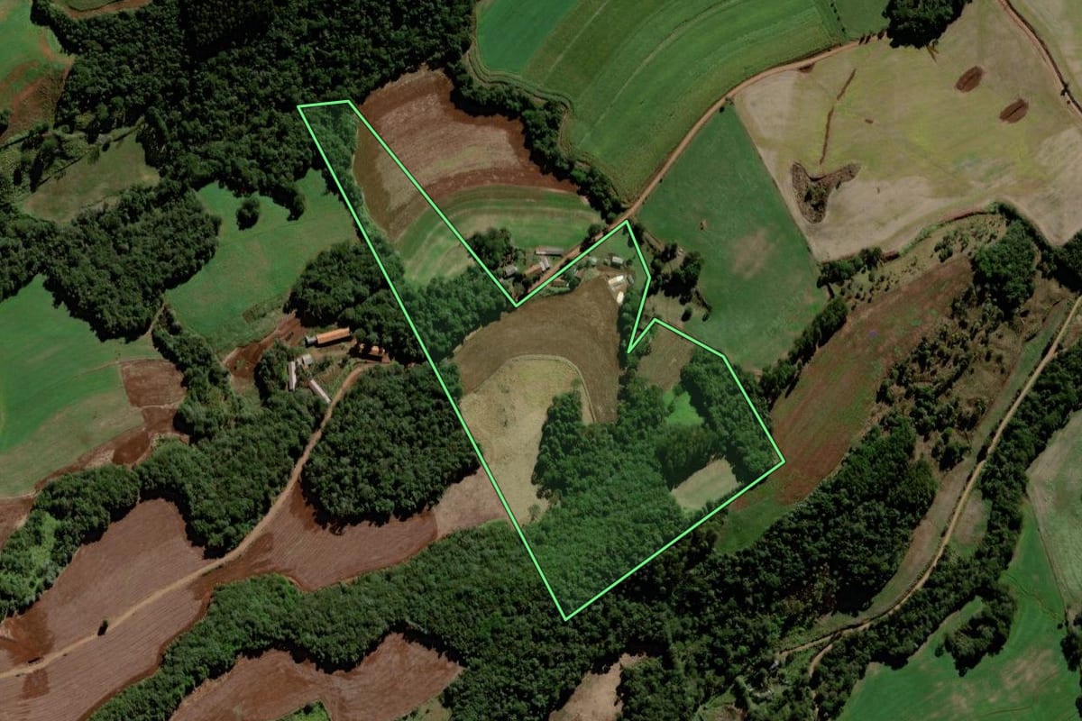 Imagem de satélite do imóvel rural em Laranjeiras do Sul (PR), com o contorno declarado no CAR desenhado por cima.