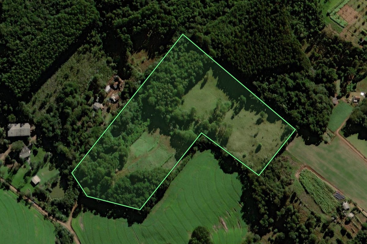 Imagem de satélite do imóvel rural em Laranjeiras do Sul (PR), com o contorno declarado no CAR desenhado por cima.