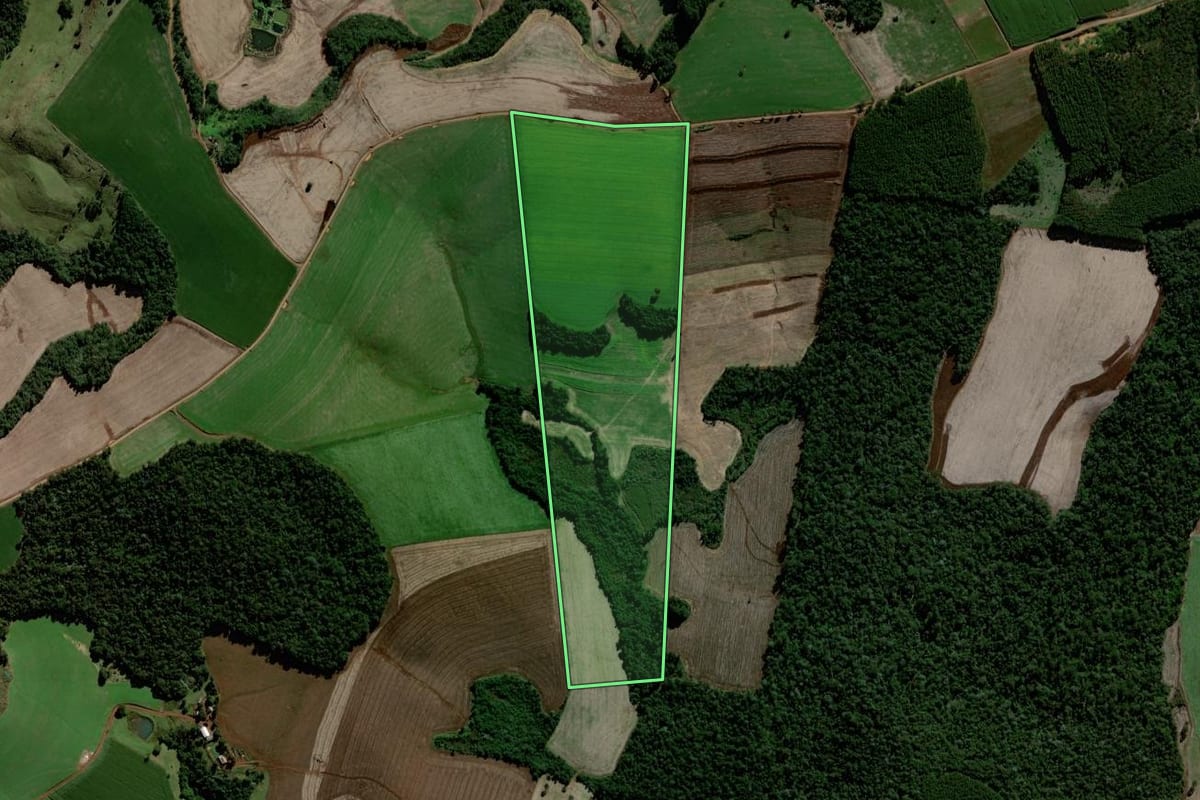 Imagem de satélite do imóvel rural em Laranjeiras do Sul (PR), com o contorno declarado no CAR desenhado por cima.