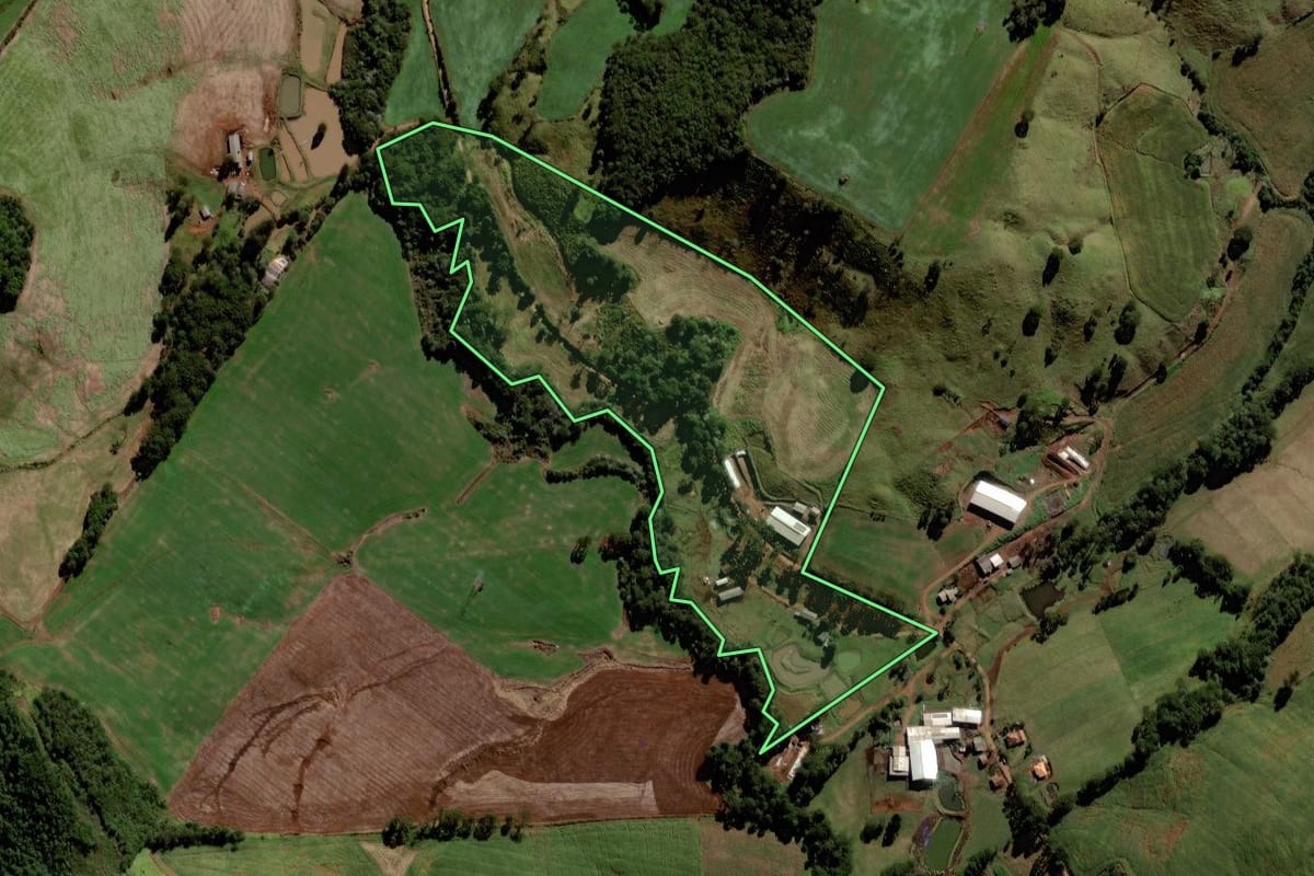 Imagem de satélite do imóvel rural em Laranjeiras do Sul (PR), com o contorno declarado no CAR desenhado por cima.