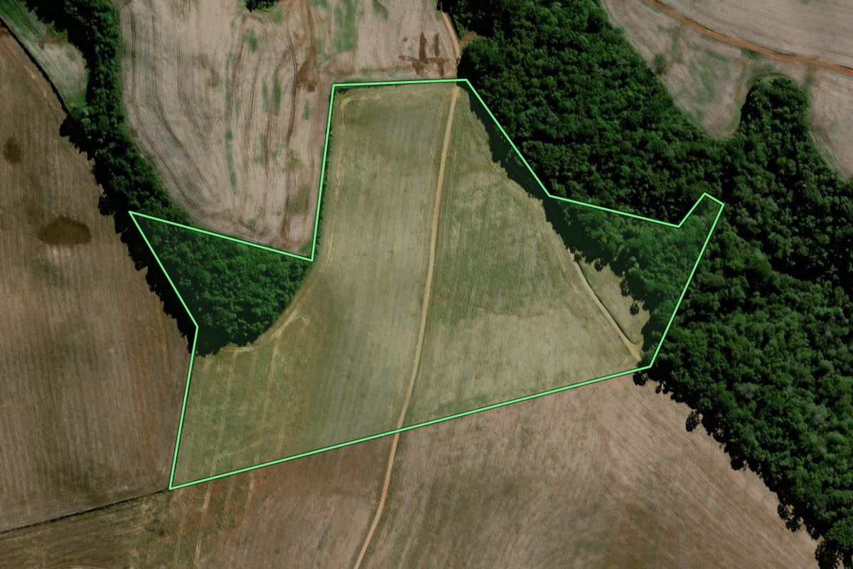 Imagem de satélite do imóvel rural em Laranjeiras do Sul (PR), com o contorno declarado no CAR desenhado por cima.