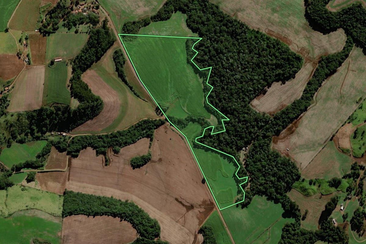 Imagem de satélite do imóvel rural em Laranjeiras do Sul (PR), com o contorno declarado no CAR desenhado por cima.