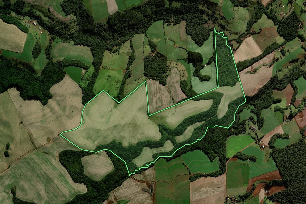 Imagem de satélite do imóvel rural em Laranjeiras do Sul (PR), com o contorno declarado no CAR desenhado por cima.