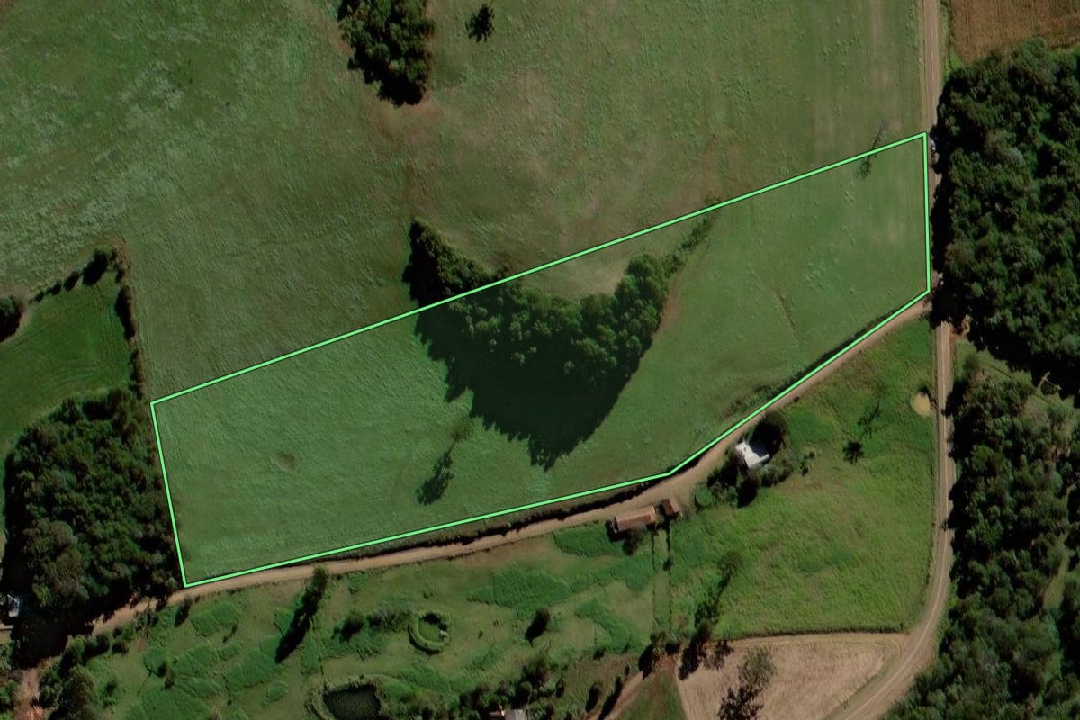 Imagem de satélite do imóvel rural em Laranjeiras do Sul (PR), com o contorno declarado no CAR desenhado por cima.