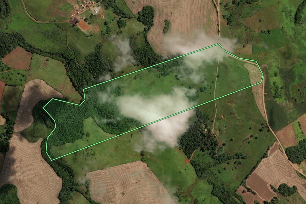 Imagem de satélite do imóvel rural em Laranjeiras do Sul (PR), com o contorno declarado no CAR desenhado por cima.