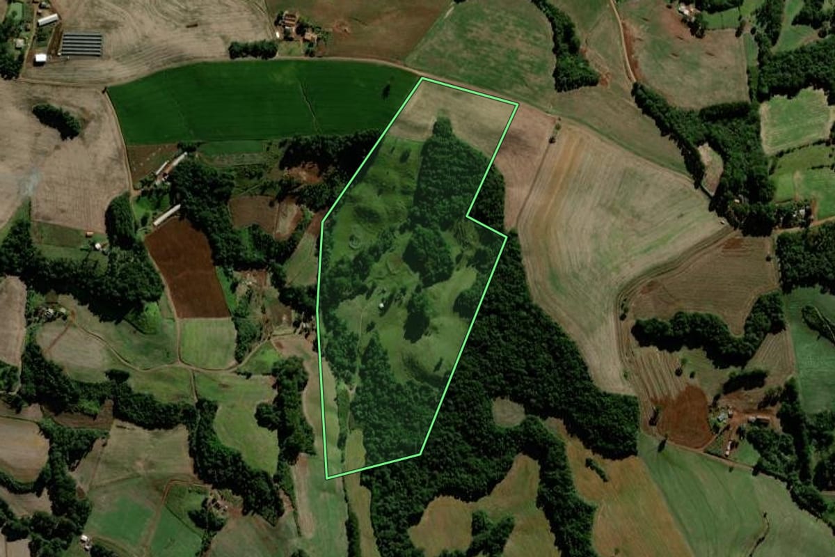 Imagem de satélite do imóvel rural em Laranjeiras do Sul (PR), com o contorno declarado no CAR desenhado por cima.