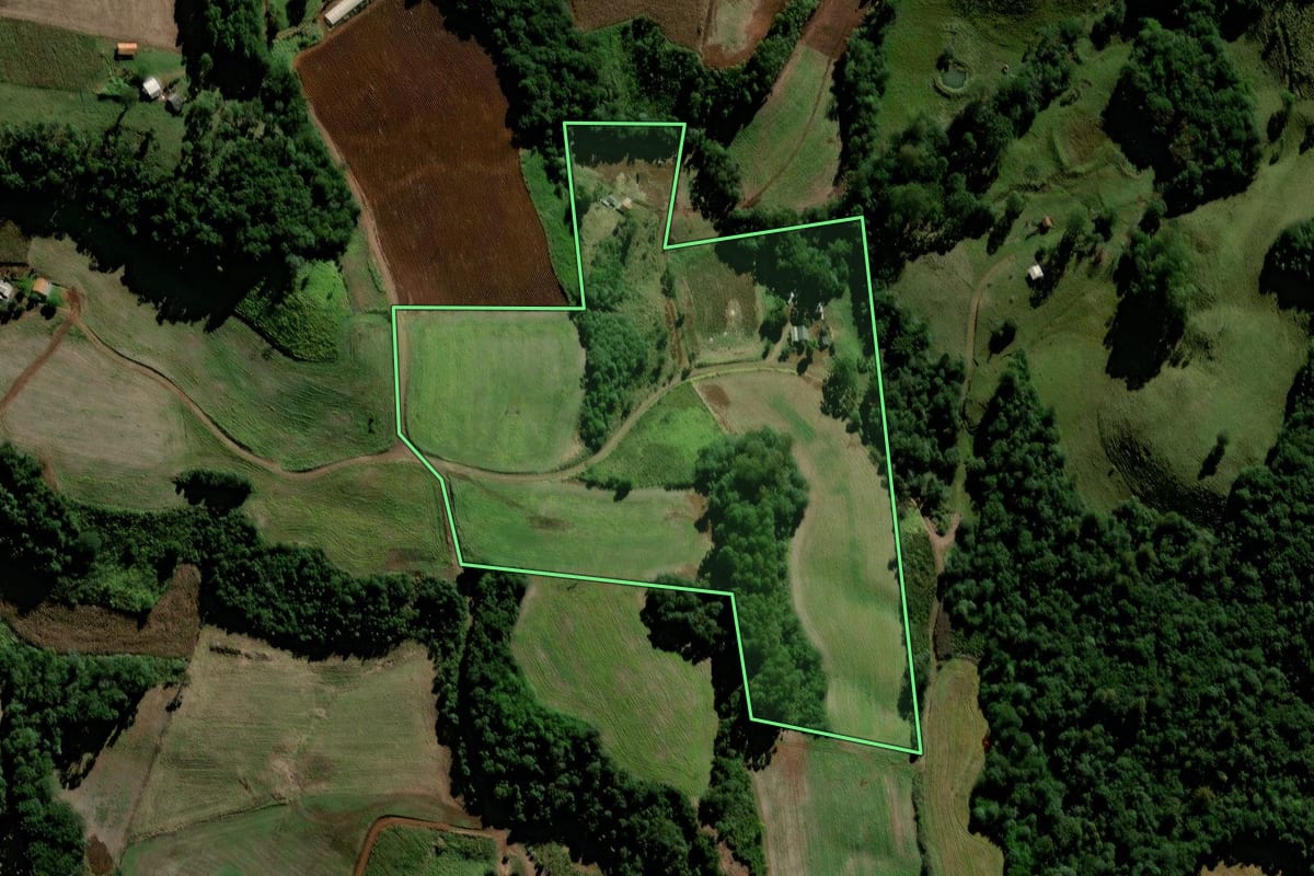 Imagem de satélite do imóvel rural em Laranjeiras do Sul (PR), com o contorno declarado no CAR desenhado por cima.