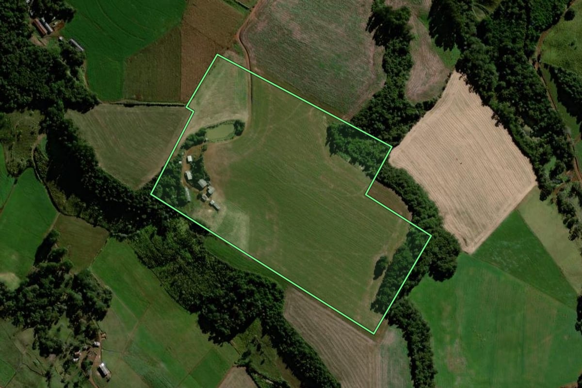 Imagem de satélite do imóvel rural em Laranjeiras do Sul (PR), com o contorno declarado no CAR desenhado por cima.
