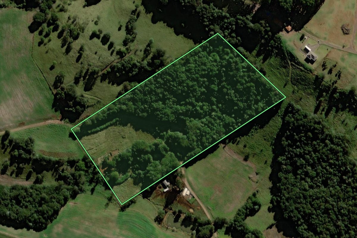 Imagem de satélite do imóvel rural em Laranjeiras do Sul (PR), com o contorno declarado no CAR desenhado por cima.