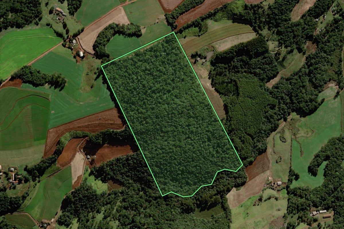 Imagem de satélite do imóvel rural em Laranjeiras do Sul (PR), com o contorno declarado no CAR desenhado por cima.