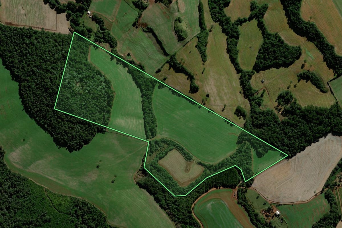 Imagem de satélite do imóvel rural em Laranjeiras do Sul (PR), com o contorno declarado no CAR desenhado por cima.