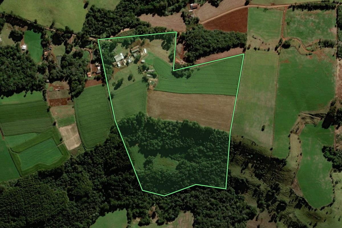 Imagem de satélite do imóvel rural em Laranjeiras do Sul (PR), com o contorno declarado no CAR desenhado por cima.