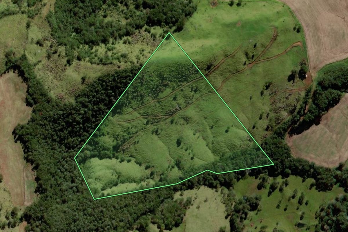 Imagem de satélite do imóvel rural em Laranjeiras do Sul (PR), com o contorno declarado no CAR desenhado por cima.