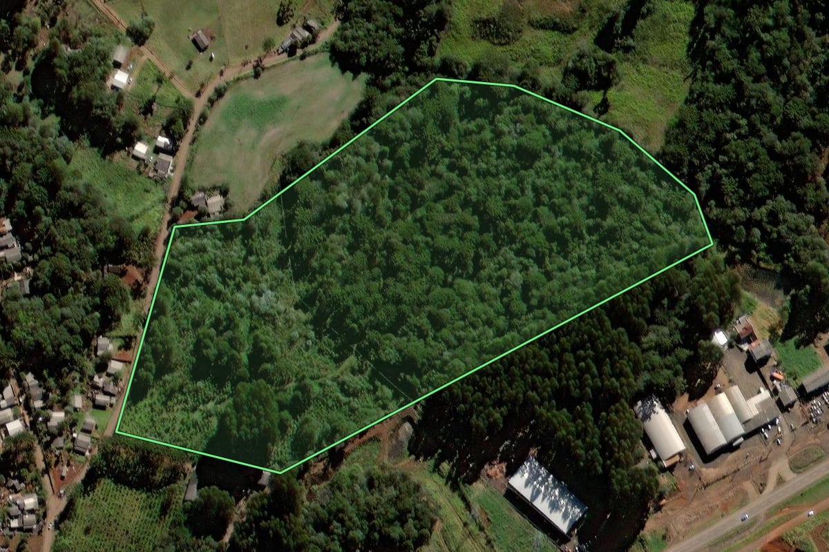 Imagem de satélite do imóvel rural em Laranjeiras do Sul (PR), com o contorno declarado no CAR desenhado por cima.