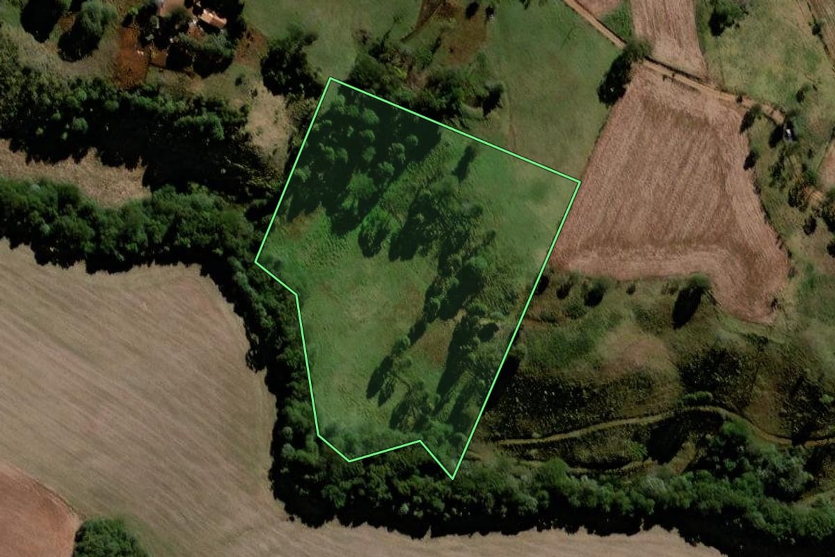 Imagem de satélite do imóvel rural em Laranjeiras do Sul (PR), com o contorno declarado no CAR desenhado por cima.