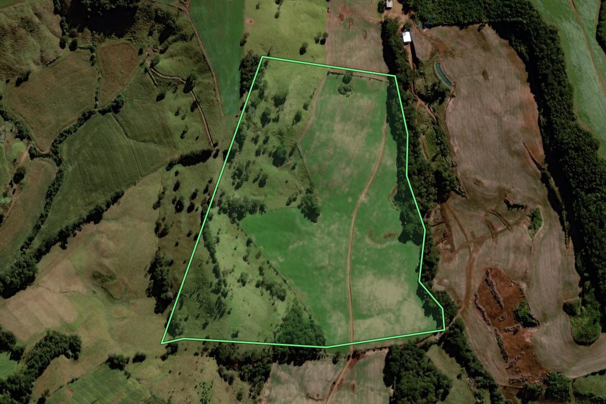 Imagem de satélite do imóvel rural em Laranjeiras do Sul (PR), com o contorno declarado no CAR desenhado por cima.