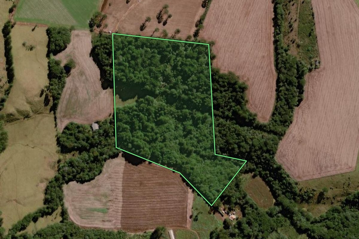Imagem de satélite do imóvel rural em Laranjeiras do Sul (PR), com o contorno declarado no CAR desenhado por cima.