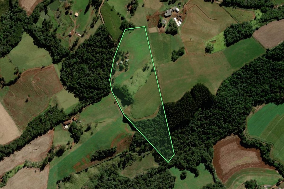 Imagem de satélite do imóvel rural em Laranjeiras do Sul (PR), com o contorno declarado no CAR desenhado por cima.