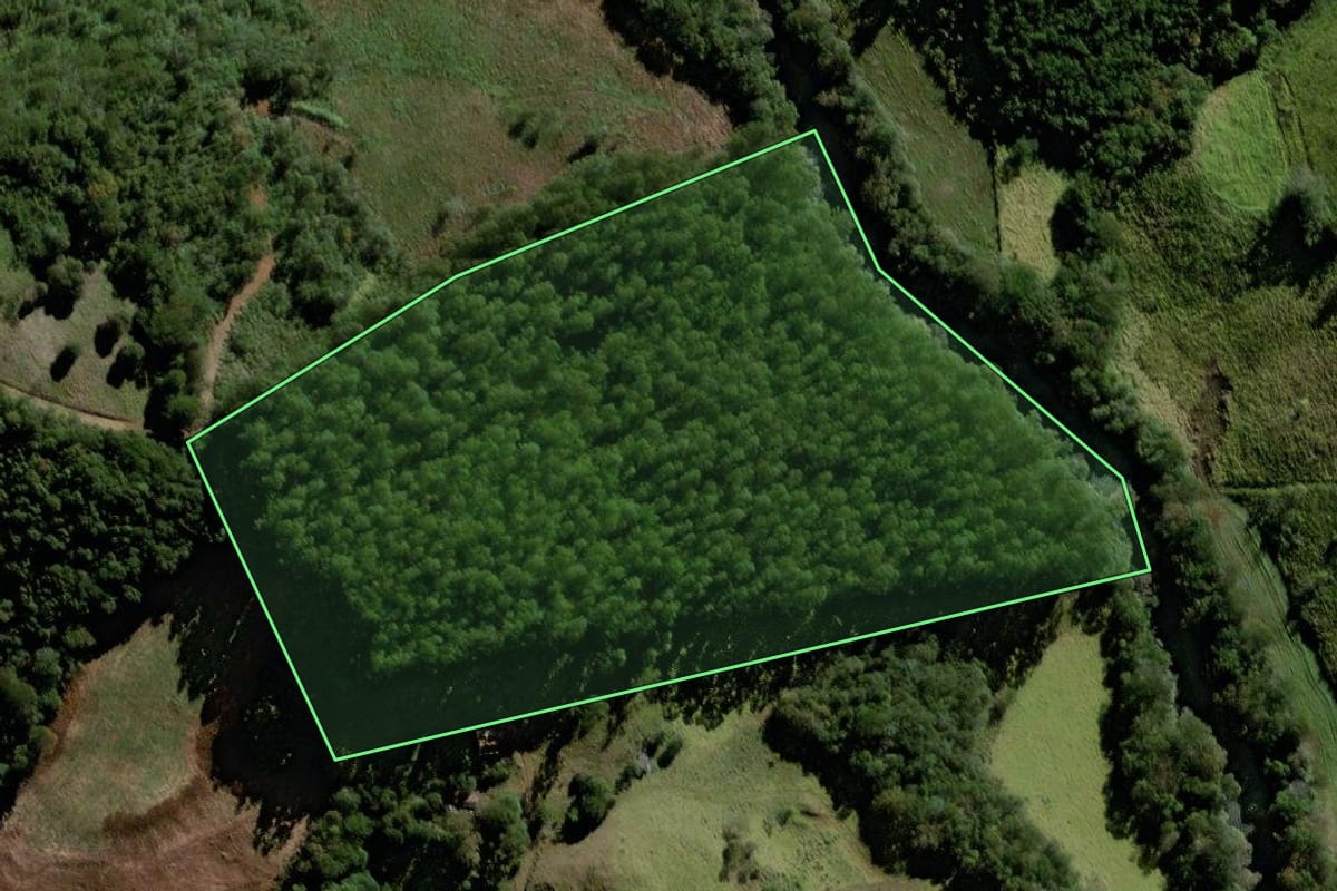 Imagem de satélite do imóvel rural em Laranjeiras do Sul (PR), com o contorno declarado no CAR desenhado por cima.
