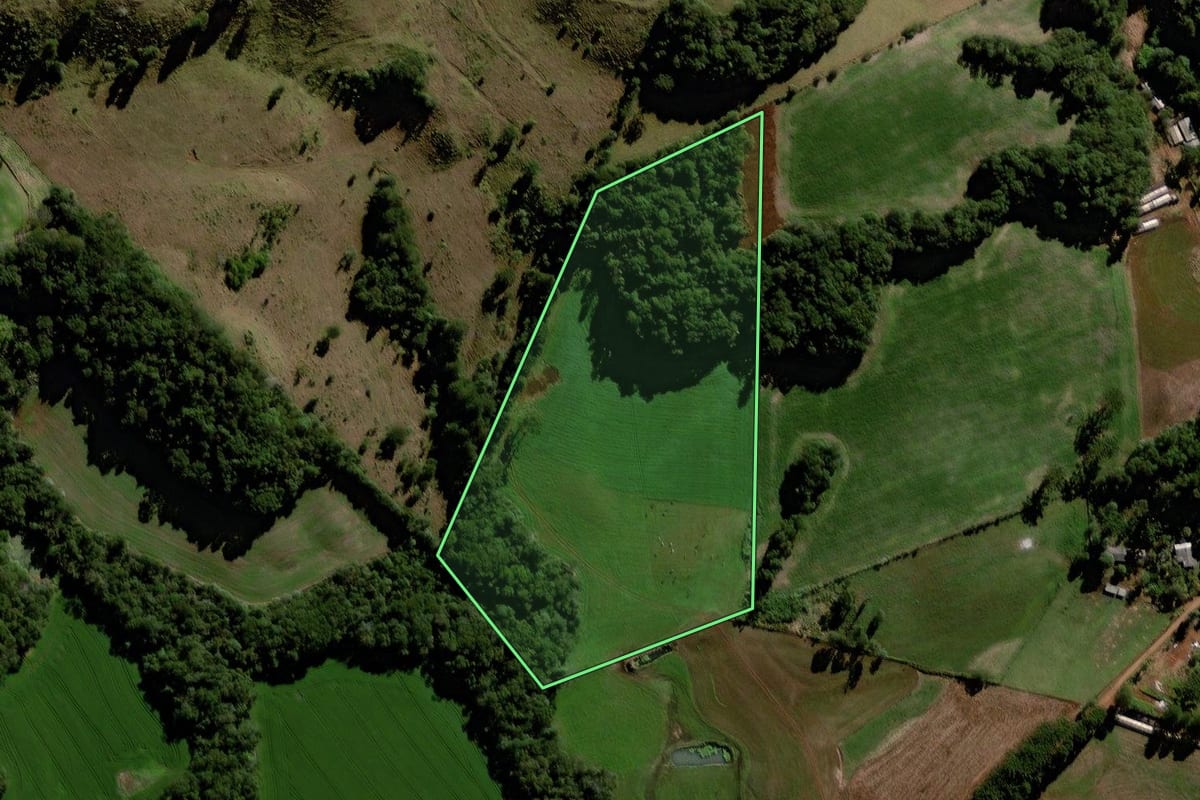 Imagem de satélite do imóvel rural em Laranjeiras do Sul (PR), com o contorno declarado no CAR desenhado por cima.