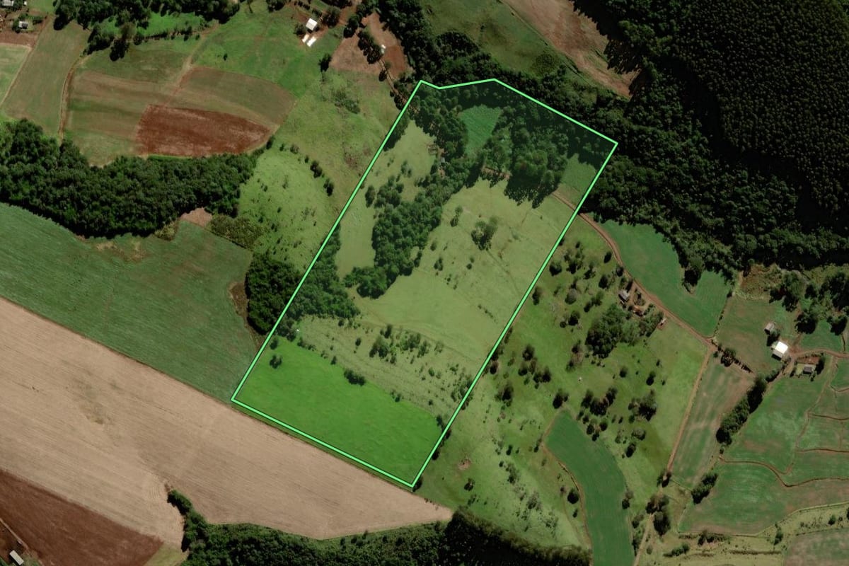 Imagem de satélite do imóvel rural em Laranjeiras do Sul (PR), com o contorno declarado no CAR desenhado por cima.