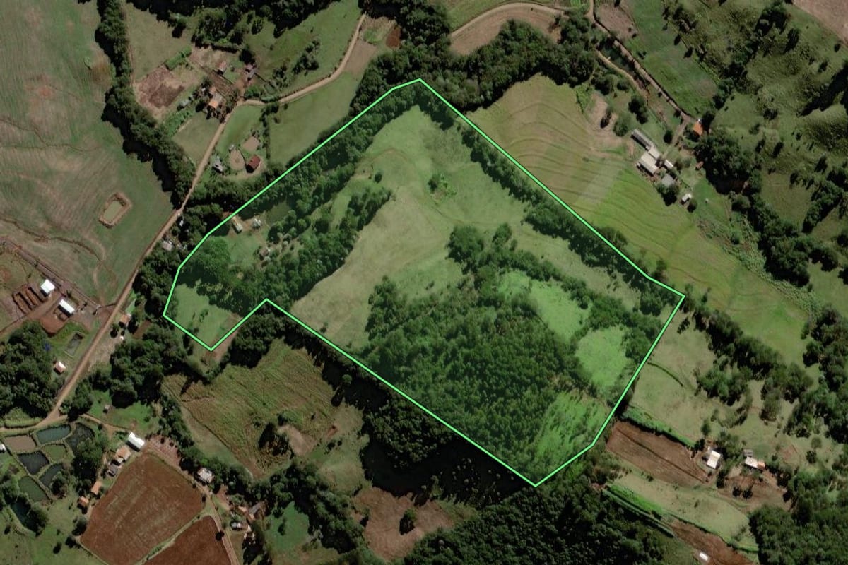 Imagem de satélite do imóvel rural em Laranjeiras do Sul (PR), com o contorno declarado no CAR desenhado por cima.