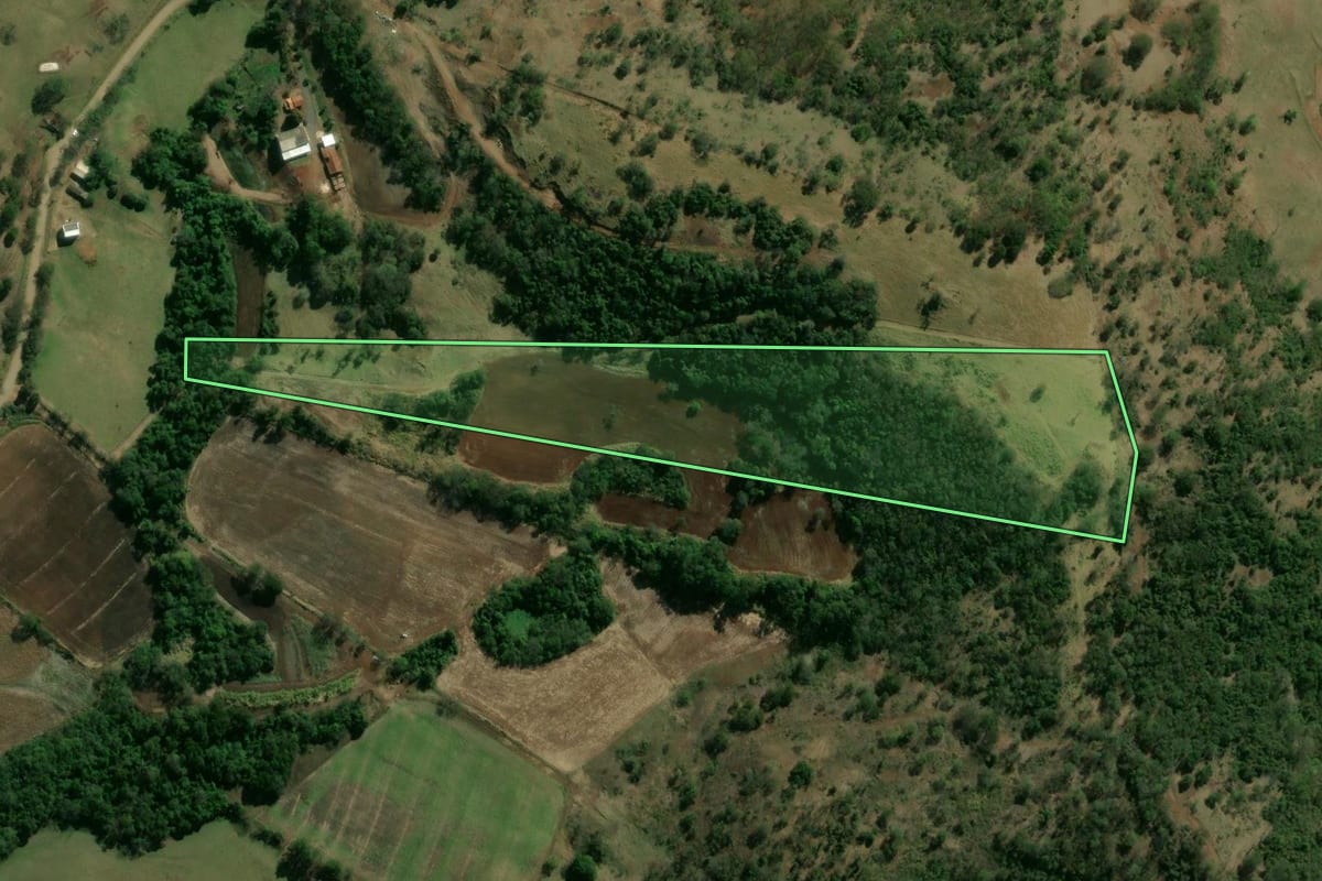 Imagem de satélite do imóvel rural em Leópolis (PR), com o contorno declarado no CAR desenhado por cima.