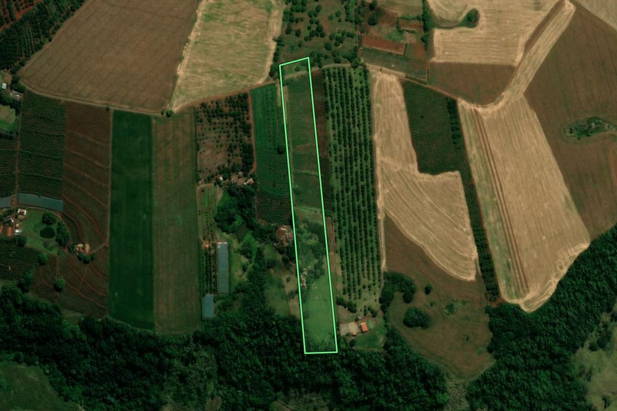 Imagem de satélite do imóvel rural em Lidianópolis (PR), com o contorno declarado no CAR desenhado por cima.