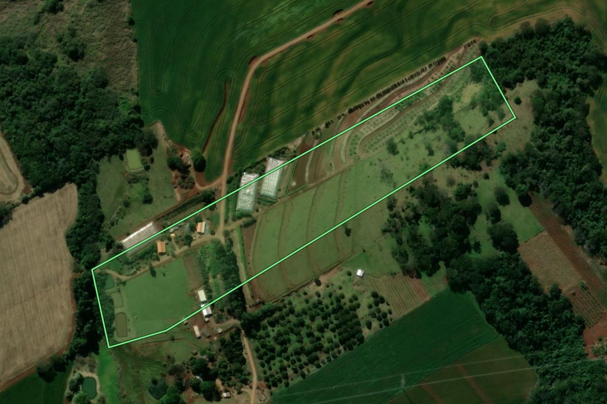 Imagem de satélite do imóvel rural em Lidianópolis (PR), com o contorno declarado no CAR desenhado por cima.