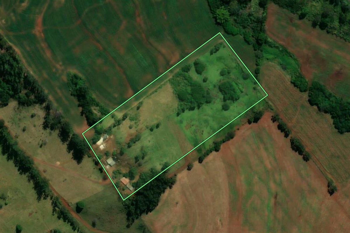 Imagem de satélite do imóvel rural em Lidianópolis (PR), com o contorno declarado no CAR desenhado por cima.