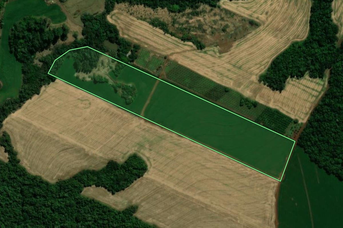 Imagem de satélite do imóvel rural em Lidianópolis (PR), com o contorno declarado no CAR desenhado por cima.