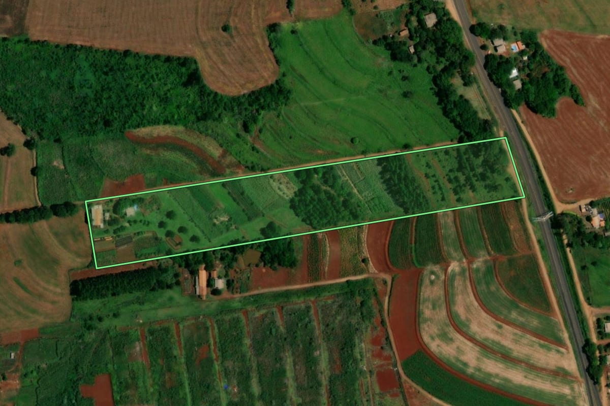 Imagem de satélite do imóvel rural em Lindoeste (PR), com o contorno declarado no CAR desenhado por cima.