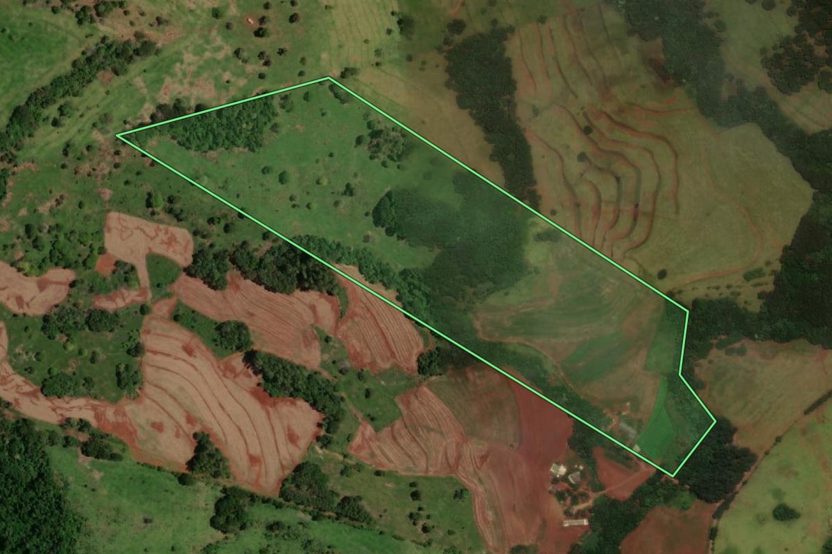 Imagem de satélite do imóvel rural em Lindoeste (PR), com o contorno declarado no CAR desenhado por cima.