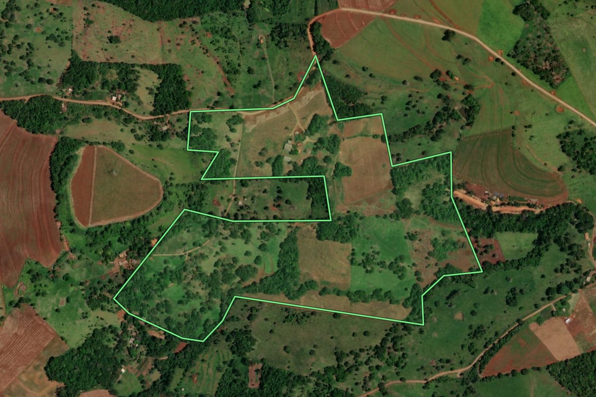Imagem de satélite do imóvel rural em Lindoeste (PR), com o contorno declarado no CAR desenhado por cima.
