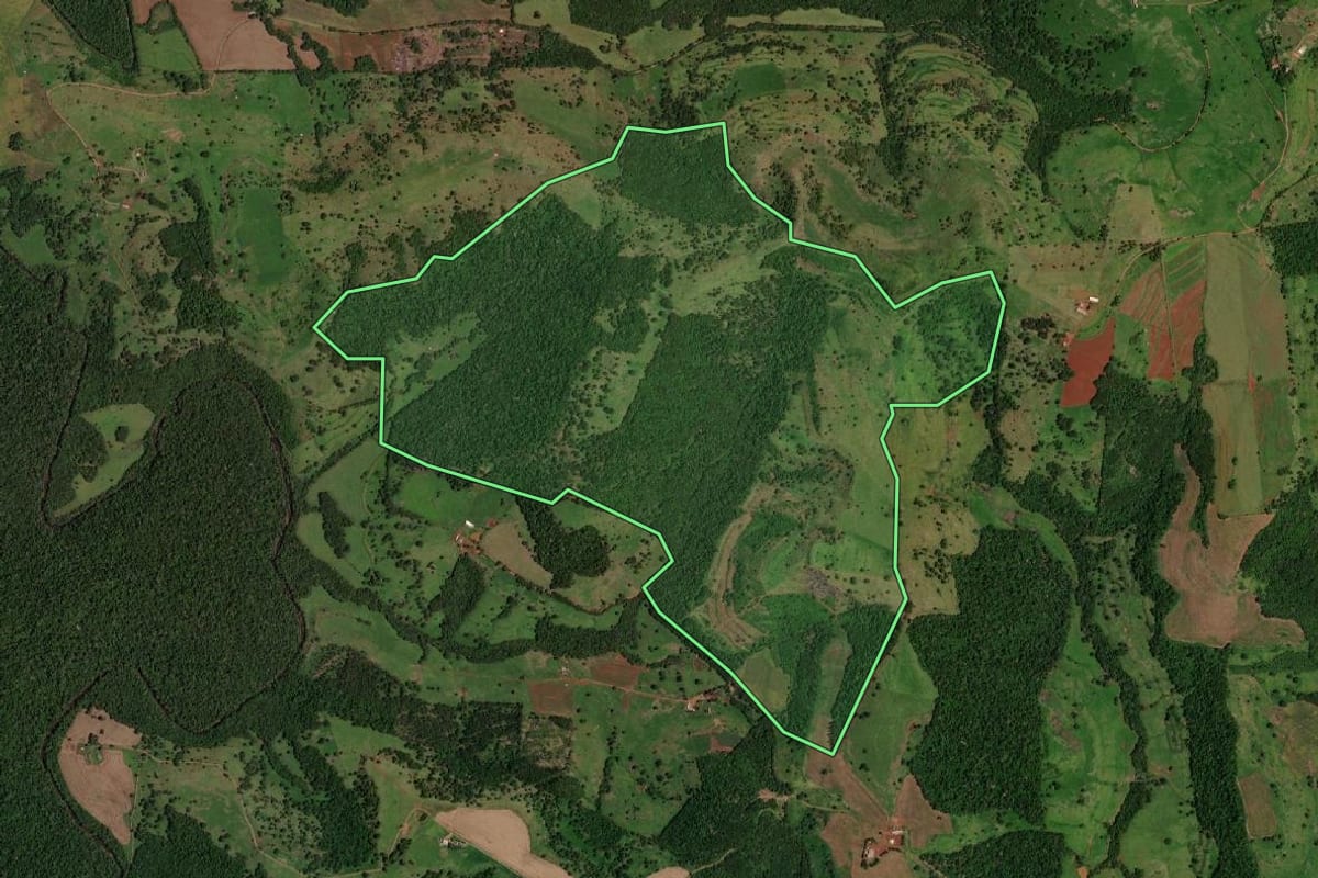 Imagem de satélite do imóvel rural em Lindoeste (PR), com o contorno declarado no CAR desenhado por cima.