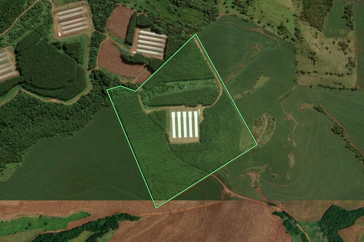 Imagem de satélite do imóvel rural em Lindoeste (PR), com o contorno declarado no CAR desenhado por cima.