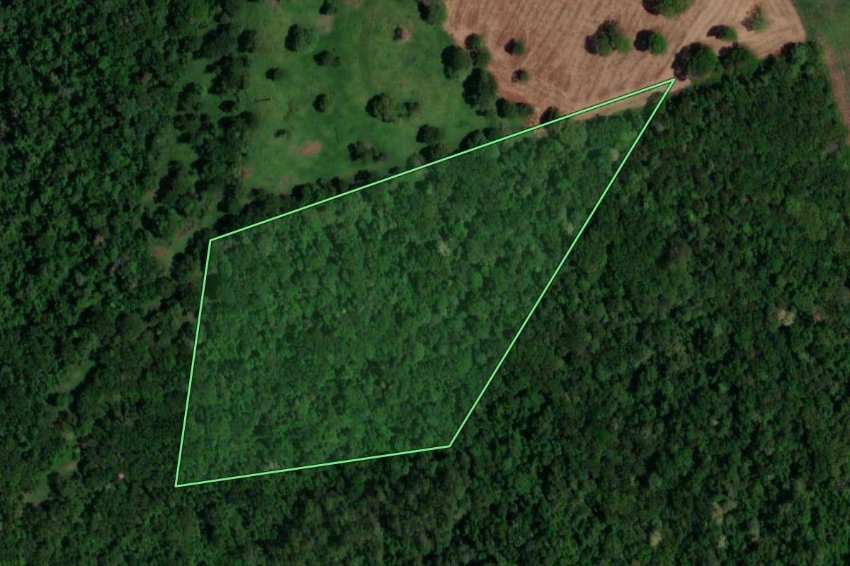 Imagem de satélite do imóvel rural em Lindoeste (PR), com o contorno declarado no CAR desenhado por cima.