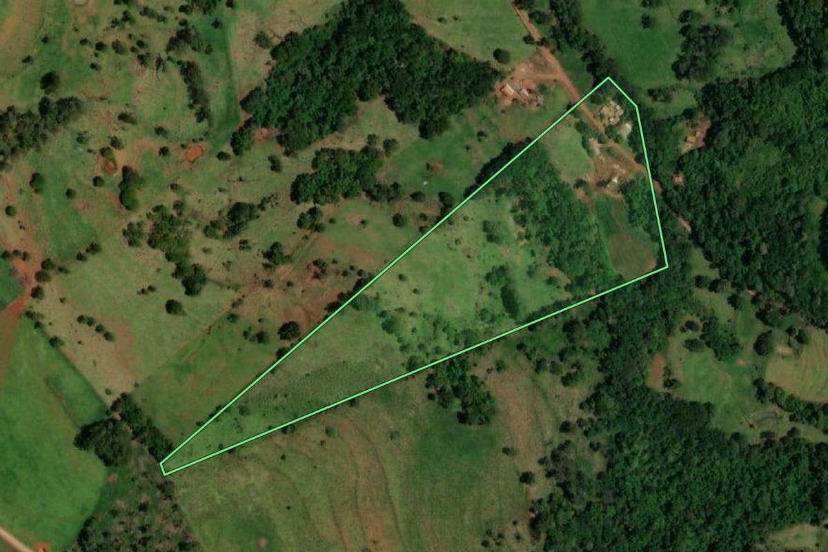Imagem de satélite do imóvel rural em Lindoeste (PR), com o contorno declarado no CAR desenhado por cima.