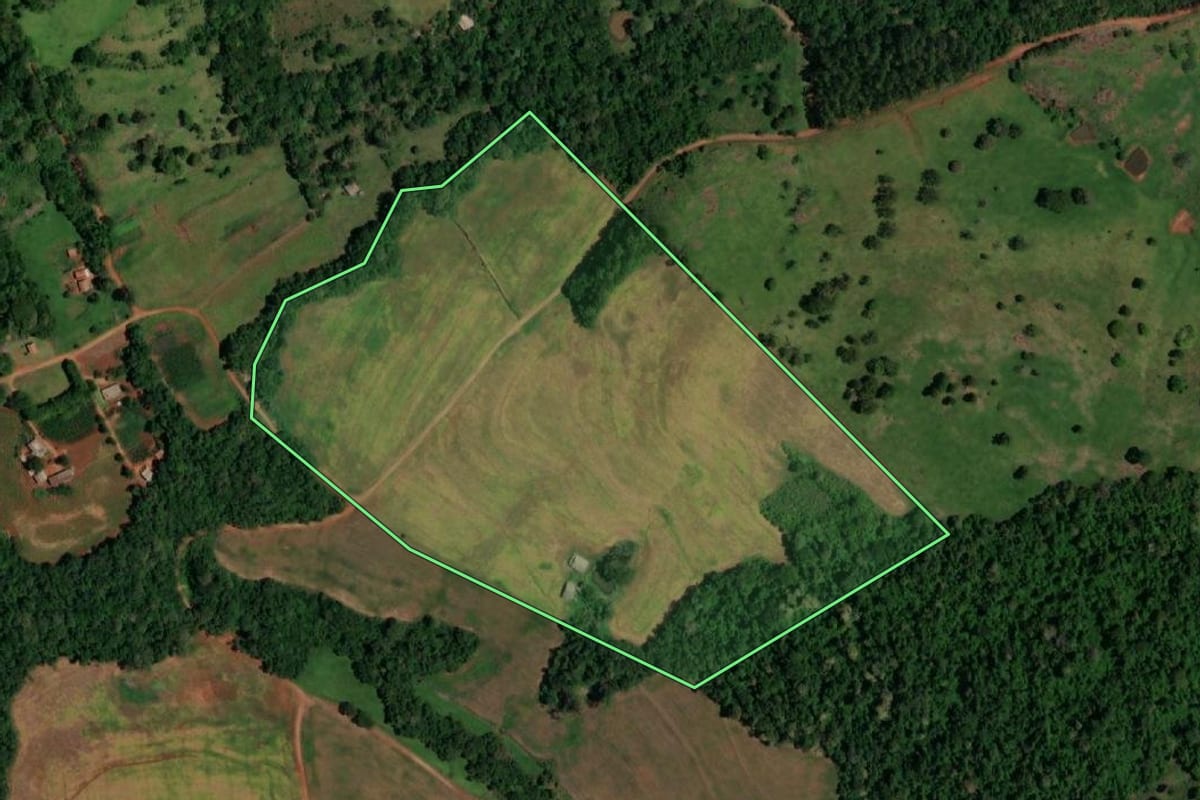 Imagem de satélite do imóvel rural em Lindoeste (PR), com o contorno declarado no CAR desenhado por cima.