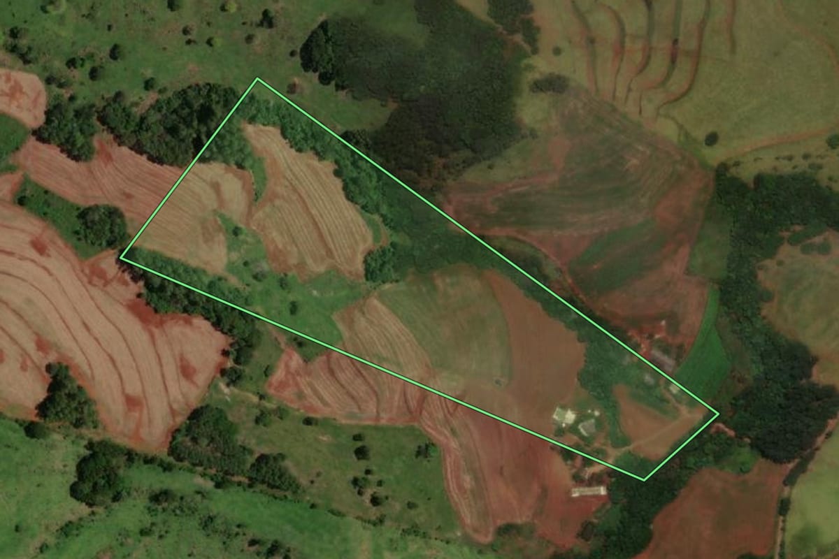 Imagem de satélite do imóvel rural em Lindoeste (PR), com o contorno declarado no CAR desenhado por cima.