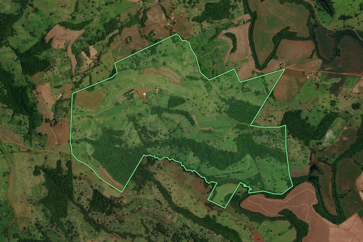 Imagem de satélite do imóvel rural em Lindoeste (PR), com o contorno declarado no CAR desenhado por cima.