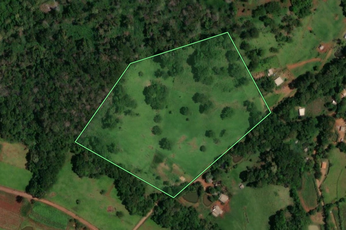 Imagem de satélite do imóvel rural em Lindoeste (PR), com o contorno declarado no CAR desenhado por cima.