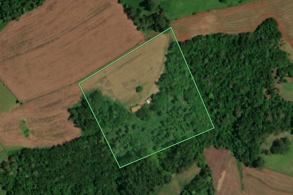 Imagem de satélite do imóvel rural em Lindoeste (PR), com o contorno declarado no CAR desenhado por cima.