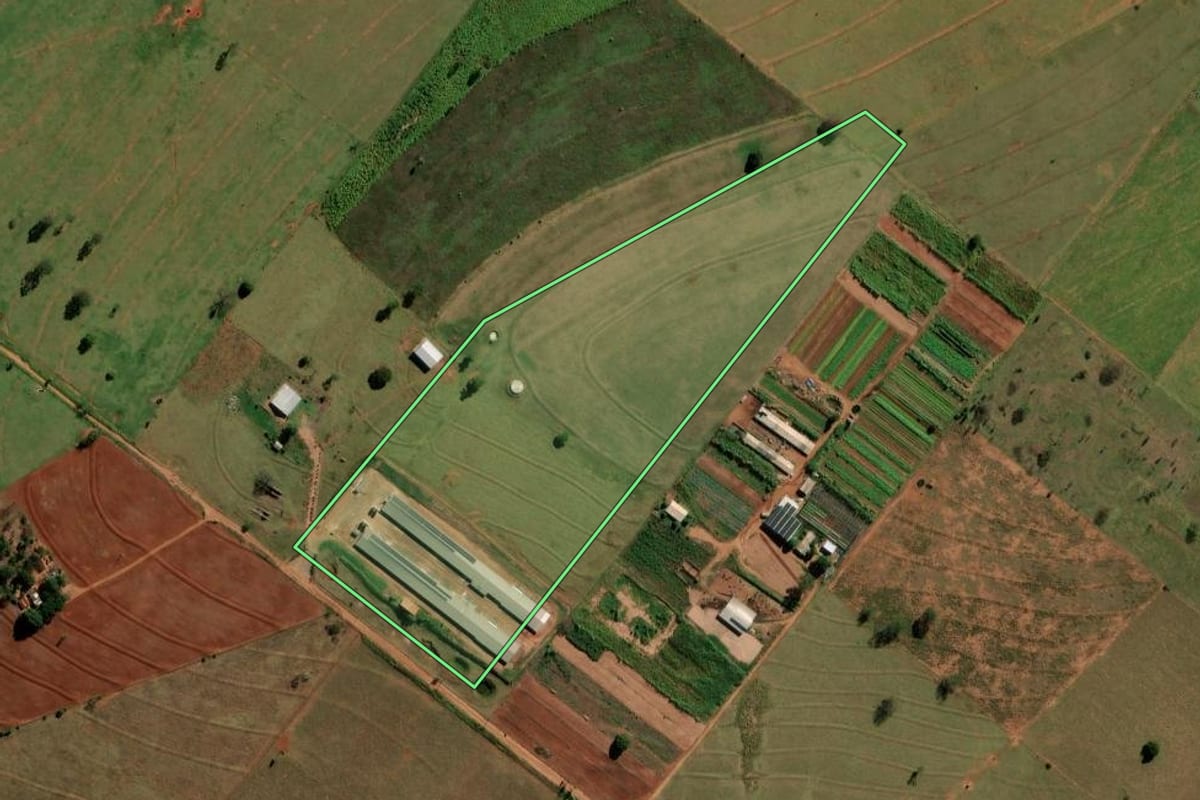 Imagem de satélite do imóvel rural em Loanda (PR), com o contorno declarado no CAR desenhado por cima.