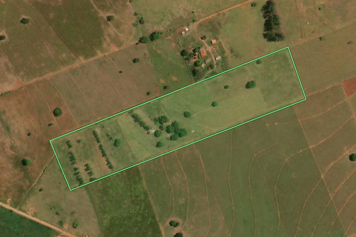 Imagem de satélite do imóvel rural em Loanda (PR), com o contorno declarado no CAR desenhado por cima.