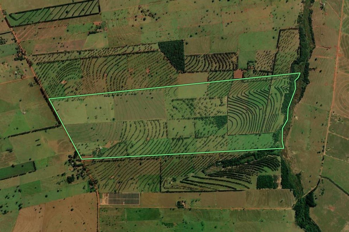 Imagem de satélite do imóvel rural em Loanda (PR), com o contorno declarado no CAR desenhado por cima.