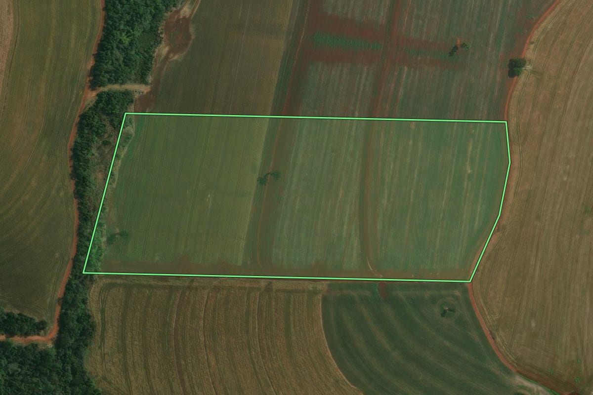 Imagem de satélite do imóvel rural em Londrina (PR), com o contorno declarado no CAR desenhado por cima.