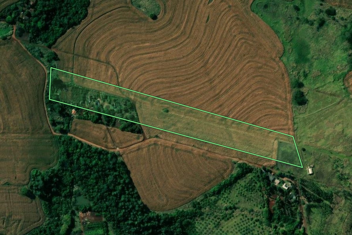 Imagem de satélite do imóvel rural em Londrina (PR), com o contorno declarado no CAR desenhado por cima.