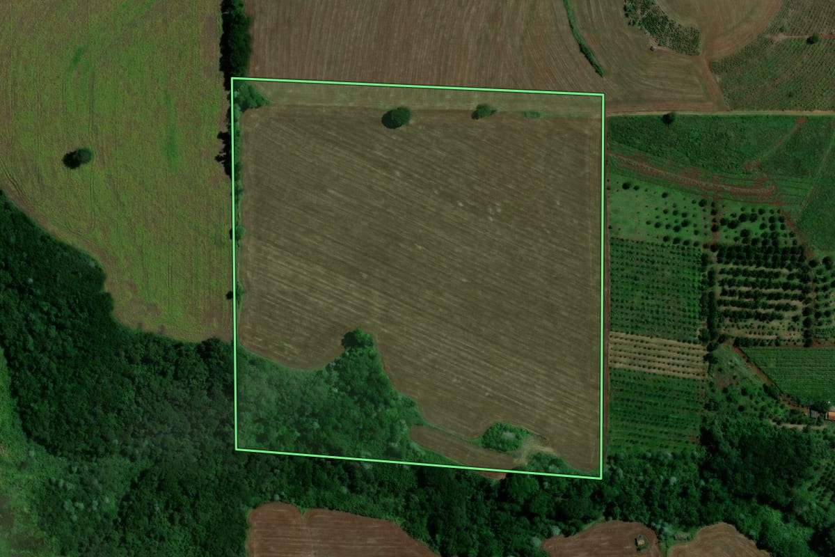 Imagem de satélite do imóvel rural em Londrina (PR), com o contorno declarado no CAR desenhado por cima.