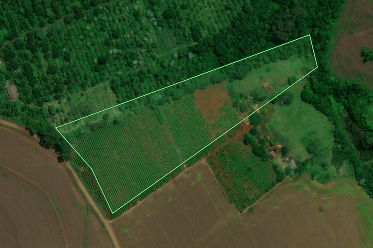 Imagem de satélite do imóvel rural em Londrina (PR), com o contorno declarado no CAR desenhado por cima.